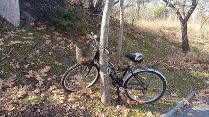 bicycle in the park