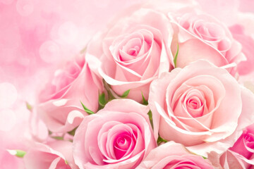 Delicate Pink Roses Flower on light blurred background. Beautiful pink roses bouquet, close up. Springtime concept. Valentine's Day, Women's Day, Mother's Day