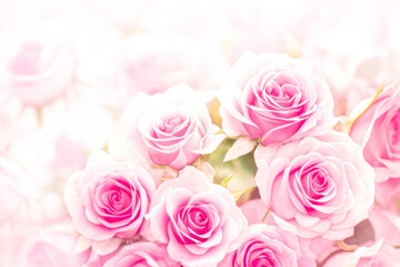 Delicate Pink Roses Flower on light blurred background. Beautiful pink roses bouquet, close up. Springtime concept. Valentine's Day, Women's Day, Mother's Day