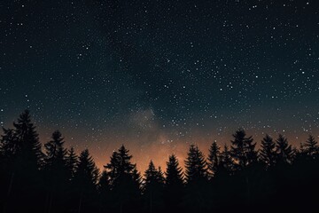 A captivating photo featuring a night sky filled with countless stars shining above a forest of tall trees, A blanket of stars over a darkened forest, AI Generated - obrazy, fototapety, plakaty