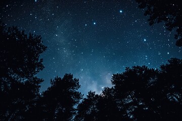 Fototapeta na wymiar Experience the tranquility of a star-filled night sky complemented by the beauty of surrounding trees, A blanket of stars over a darkened forest, AI Generated