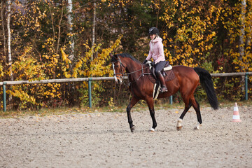 Woman with horse at a light trot training on the riding arena