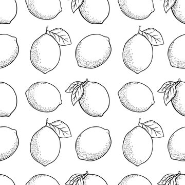 Hand drawn vector monochrome seamless pattern with etching lemon or lime, leaves in engraved style. Vector black and white repeat backdrop