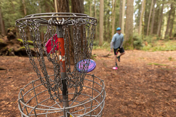 Medium shot of a disc hitting the chains in the basket with an out-of-focus disc golfer in the background on the Kitsap Peninsula