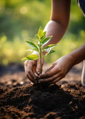 Fotobehang Human hands holding and caring young plant with soil. Earth day concept. © Hryhor Denys