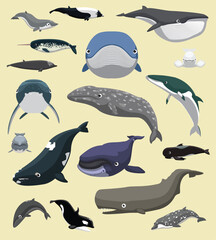 Whale Baleen and Tooth Set Cute Cartoon Vector