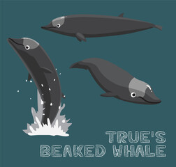 True's Beaked Whale Cartoon Vector Illustration
