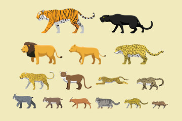 Wild Cats Feline Side Size Comparison Set Cartoon Vector