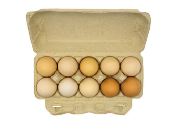 Opened cardboard box with ten whole brown eggs