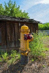 An antique fire hydrant with dual hose connections next to a barn
