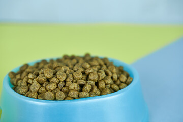 Dog food in a blue bowl on a blue and yellow background.