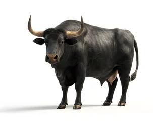 Zelfklevend Fotobehang Black bull isolated on white background. The Big bull young strong have muscle and sharp horn © Some
