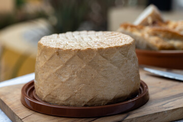 Cheese collection, piece of fresh smoked Spanish goat cheese close up