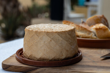 Cheese collection, piece of fresh smoked Spanish goat cheese close up