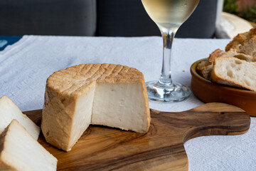 Cheese collection, piece of fresh smoked Spanish goat cheese close up