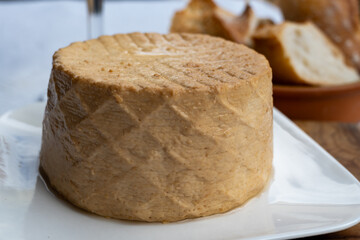 Cheese collection, piece of fresh smoked Spanish goat cheese close up
