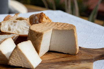Cheese collection, piece of fresh smoked Spanish goat cheese close up