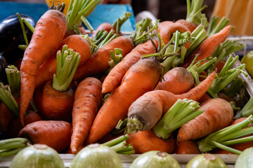 Fresh sweet organic carrots roots on Sunday farmers market on Tenerife, Canary islands, Spain, close up - obrazy, fototapety, plakaty