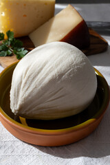 Freshly strained white soft goat cow sheep milk cheese, young Spanish cheese