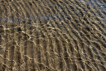 Crystal clear sea water texture with glare from the sun, wallpaper
