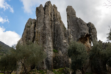 View on natural Monument Campo Soriano and olive trees, Lazio, Italy
