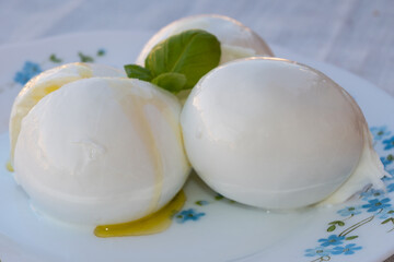 Cheese collection, white balls of soft Italian cheese mozzarella, served with olive oil, fresh basil leaves