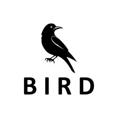 black bird logo