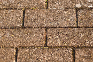 Fototapeta premium path