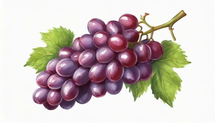 Fototapeta premium bunch of grapes