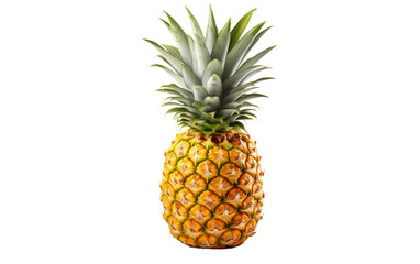 Tropical Pineapple with White Background Isolation