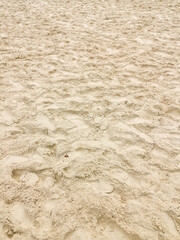 Beach sand - 731523038