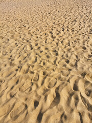 Sand background - 731523423