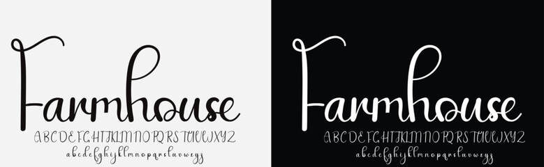 signature Font Calligraphy Logotype Script Brush Font Type Font lettering handwritten