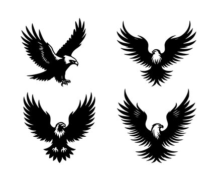 set of eagle bird silhouettes on isolated background