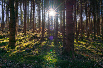 A view to the Bavarian forest into the pure sun light with surrounding sun beams