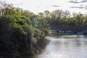 River bay, trees and cloudy sky