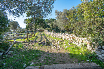 Scenic views from Pedasa (Pedasus, Pedasos), was a town of ancient Caria. It was a polis (city-state)and  was a member of the Delian League, near Bodrum.