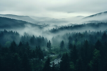 Top view of Normandy spruce forest in thick morning fog. Generated by artificial intelligence