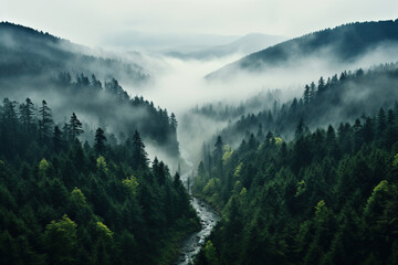 Top view of a dense spruce forest and a river in the fog. Generated by artificial intelligence