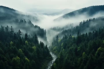 Fotobehang Top view of a dense spruce forest and a river in the fog. Generated by artificial intelligence © Vovmar