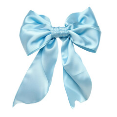 Bow, isolated object, transparent background.