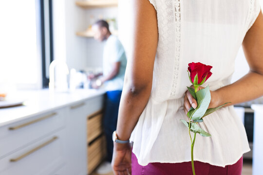 Young biracial woman holding a rose behind her back at home, with copy space