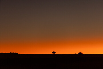 Obraz na płótnie Canvas African silhouette sunset with lonely tree.