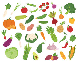 Big set of vegetables in flat style isolated on white background.