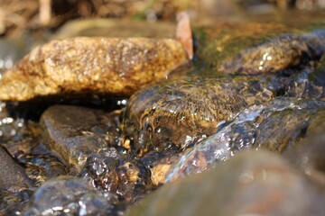 川の流れ