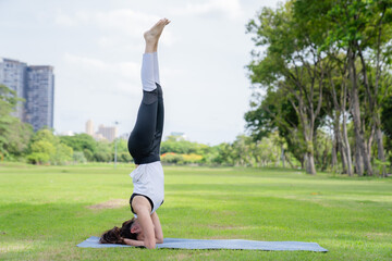 Young women have beautiful bodies, Playing yoga in an elegant posture, in the green park, is a concept of people's recreation and health care concept. blurred background