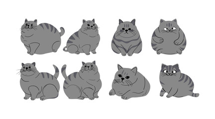 collection of vector illustrations of cute fat cats