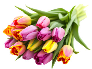 A row of colorful tulips cut-out. March 8. International Women's Day.