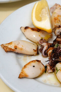 Close up baby cuttlefish squid in Andaluz style- Classic Spanish Tapas