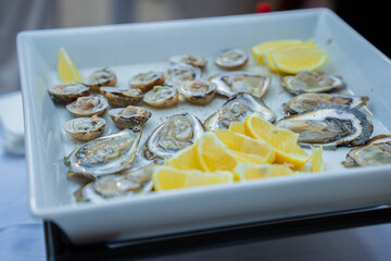 oysters with lemon on plate